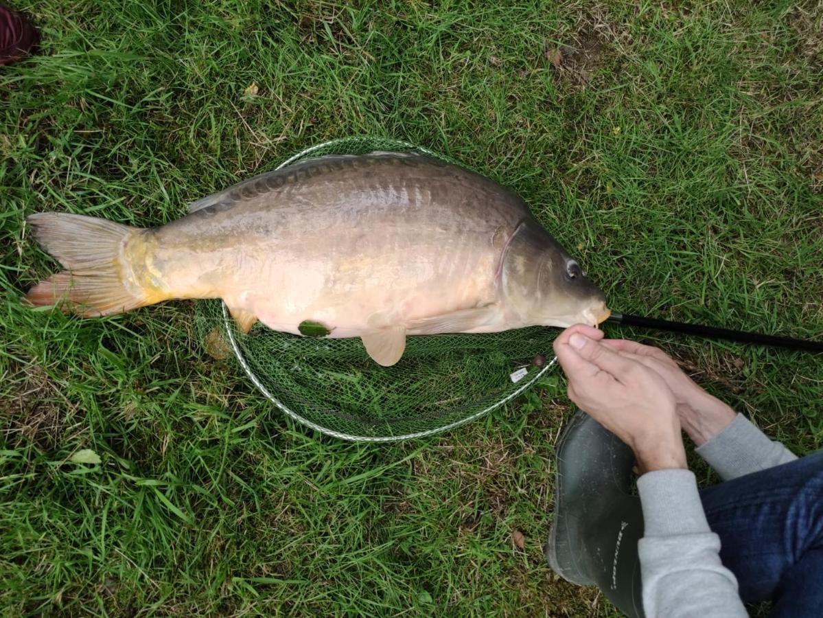 Deux Etangs Poissonneux Au Milieu Des Bois Avec Gite Moderne, La Halte Des Deux Lacs Rosée المظهر الخارجي الصورة