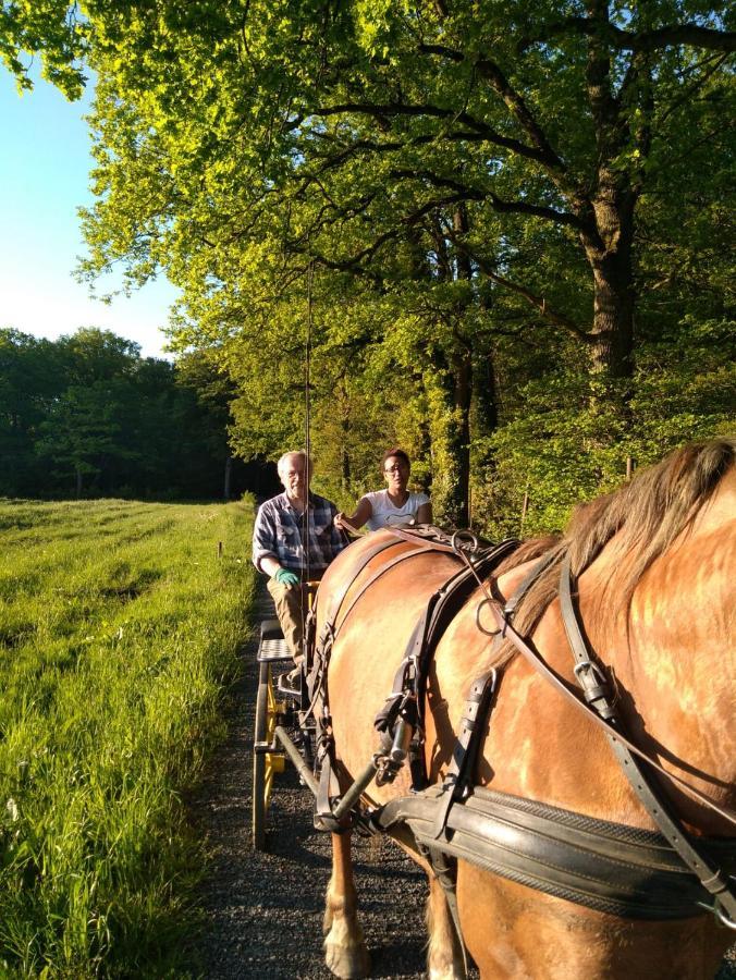 Deux Etangs Poissonneux Au Milieu Des Bois Avec Gite Moderne, La Halte Des Deux Lacs Rosée المظهر الخارجي الصورة