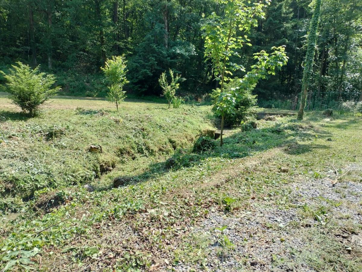 Deux Etangs Poissonneux Au Milieu Des Bois Avec Gite Moderne, La Halte Des Deux Lacs Rosée المظهر الخارجي الصورة